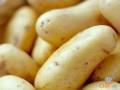 Cách lựa chọn, bảo quản và chế biến khoai tây
