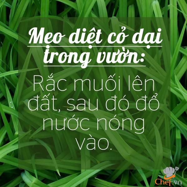 Bỏ túi các mẹo gia đình tiện dụng của muối