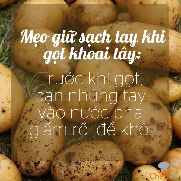 8 mẹo vặt hữu ích của giấm