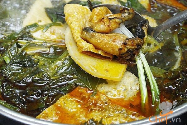 Cách Nấu Lẩu Ếch Măng Chua Cay, Lá Giang Quá Xá Ngon